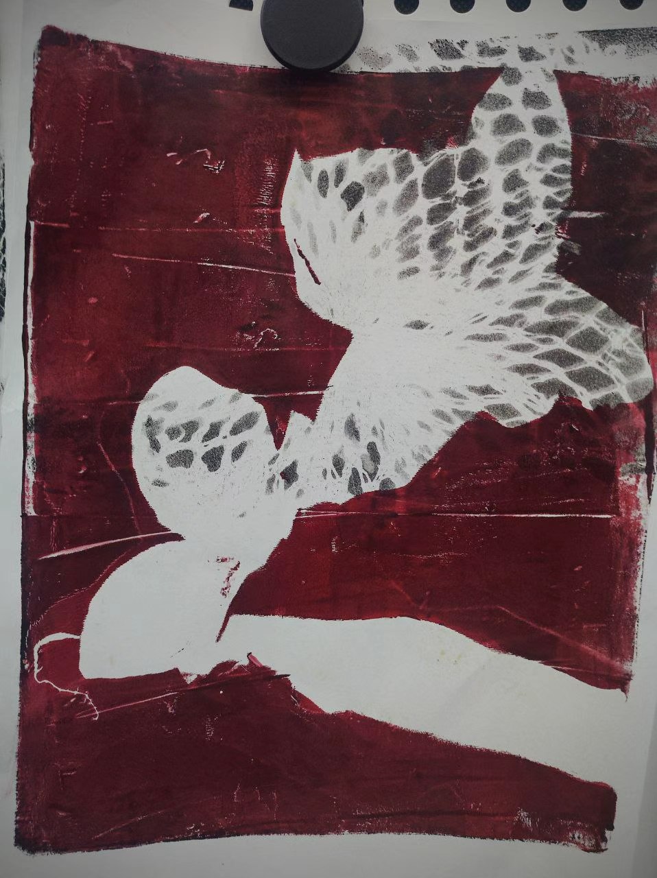 Butterfly print study in dark red and white
